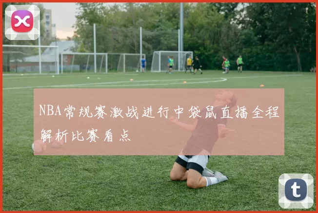 NBA常规赛激战进行中袋鼠直播全程解析比赛看点