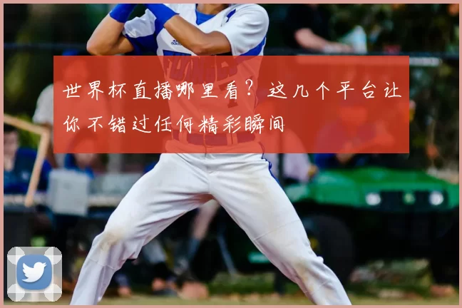 世界杯直播哪里看？这几个平台让你不错过任何精彩瞬间