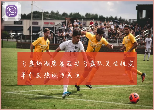 飞盘热潮席卷西安飞盘队灵活性变革引发热议与关注