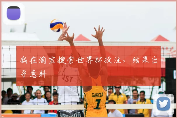 我在淘宝搜索世界杯投注,结果出乎意料