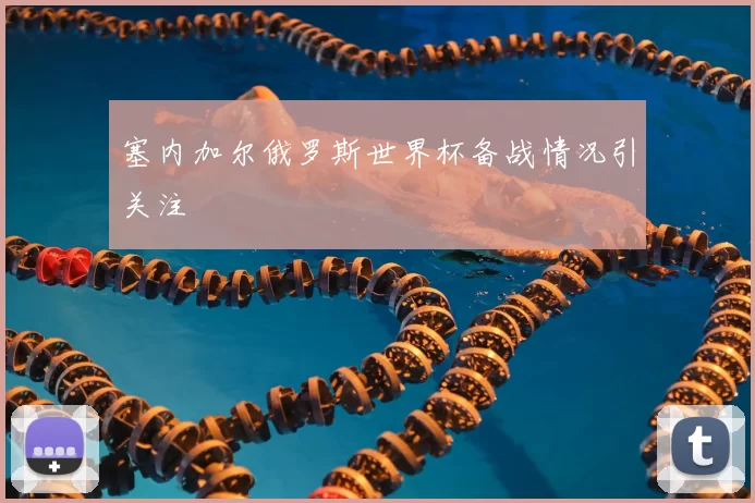 塞内加尔俄罗斯世界杯备战情况引关注