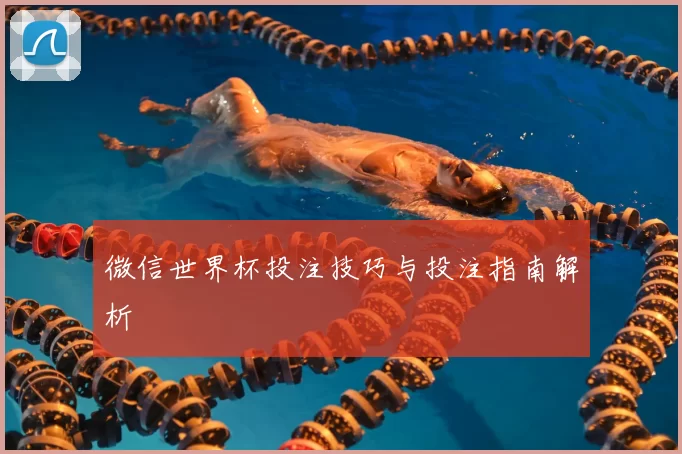 微信世界杯投注技巧与投注指南解析