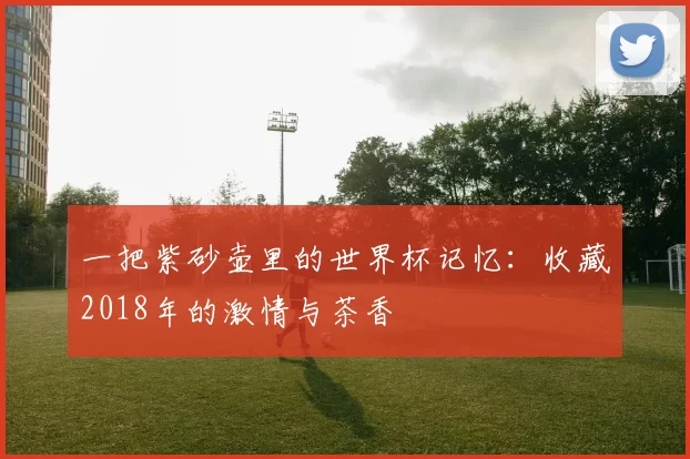 一把紫砂壶里的世界杯记忆:收藏2018年的激情与茶香
