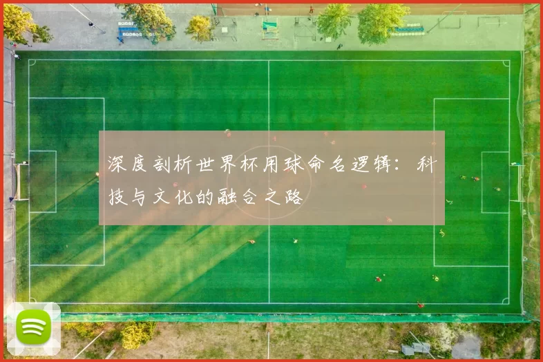 深度剖析世界杯用球命名逻辑:科技与文化的融合之路