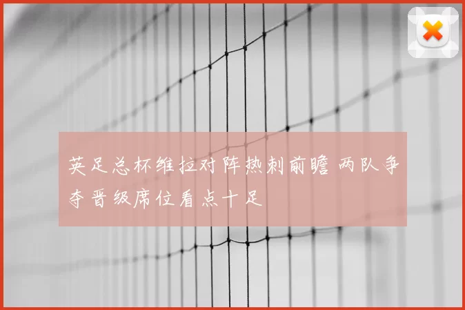 英足总杯维拉对阵热刺前瞻 两队争夺晋级席位看点十足