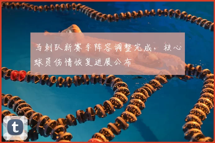 马刺队新赛季阵容调整完成,核心球员伤情恢复进展公布