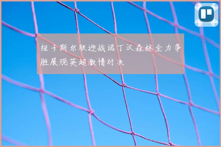 纽卡斯尔联迎战诺丁汉森林全力争胜展现英超激情对决